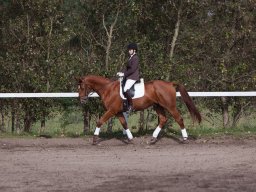 IMG_7880_web